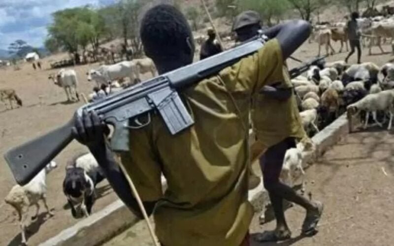 Benue under siege as herdsmen slaughter over  500 in Agatu, Otukpo, Apa